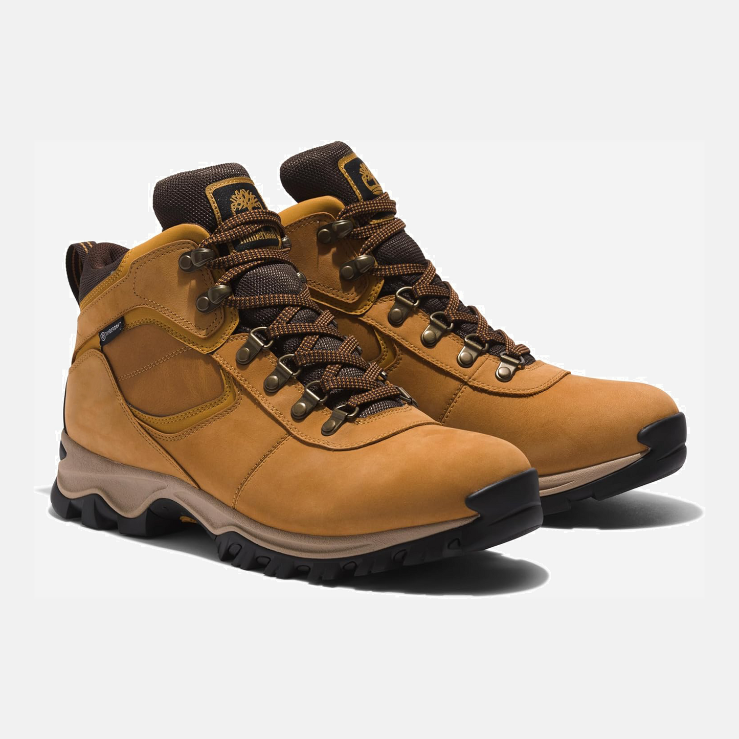 Men's Mt. Maddsen Waterproof Hiking Boot