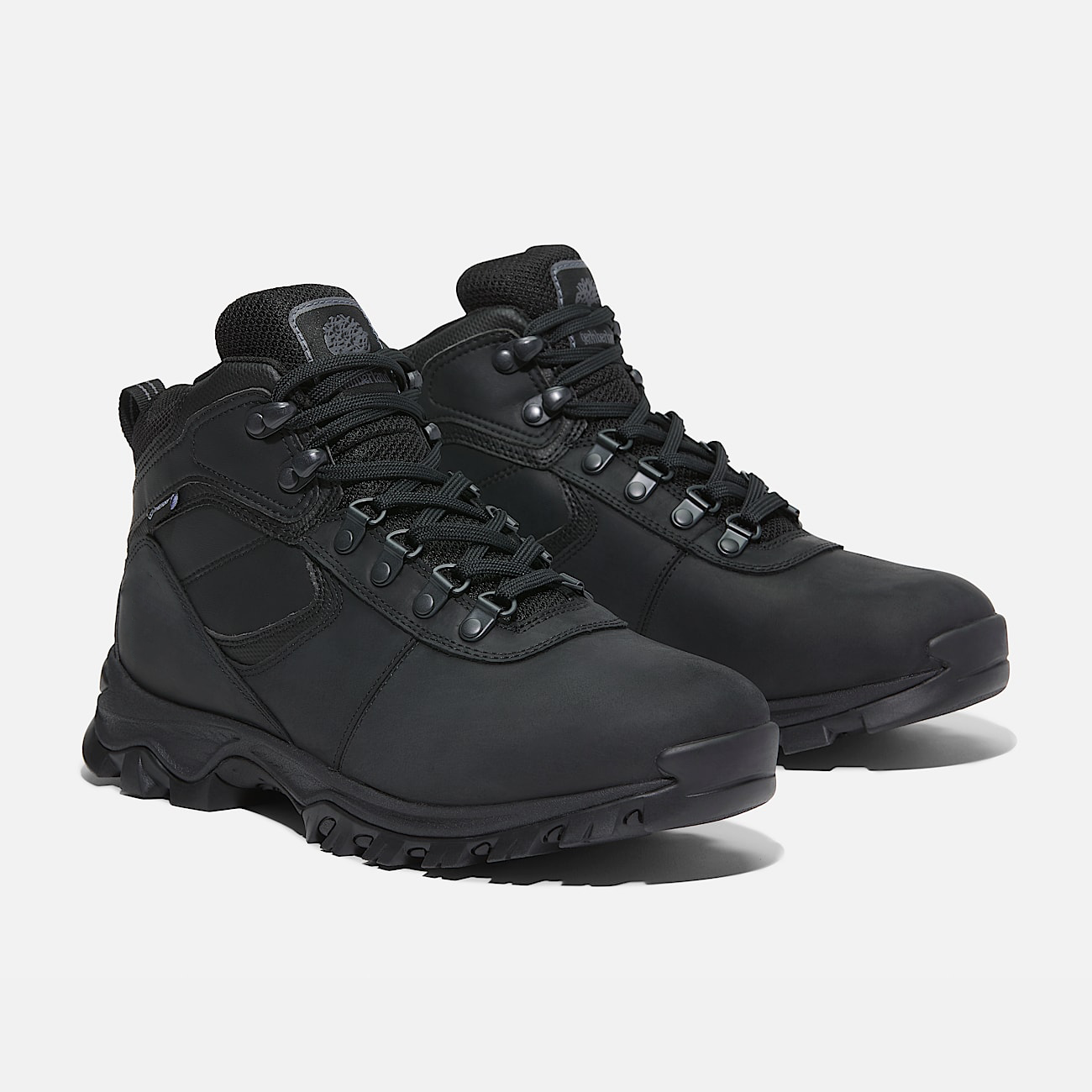 Men's Mt. Maddsen Waterproof Hiking Boot