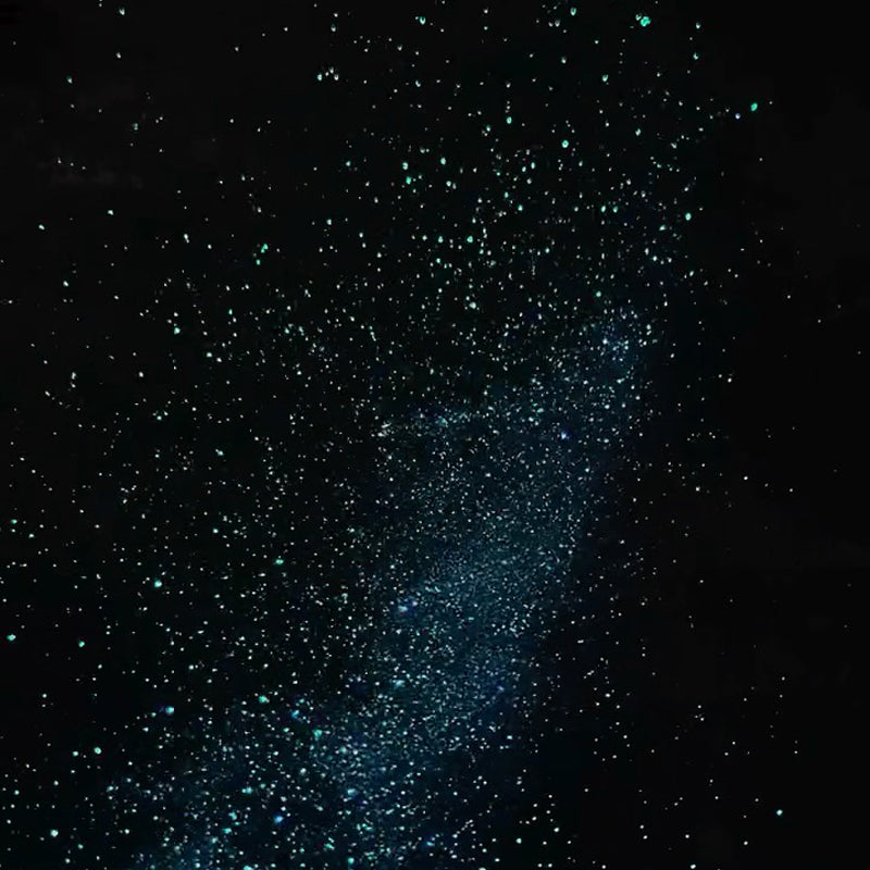 Starstream Glow Dry Oil